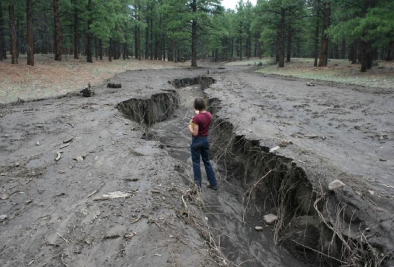 Flash flooding results in erosion and incision.