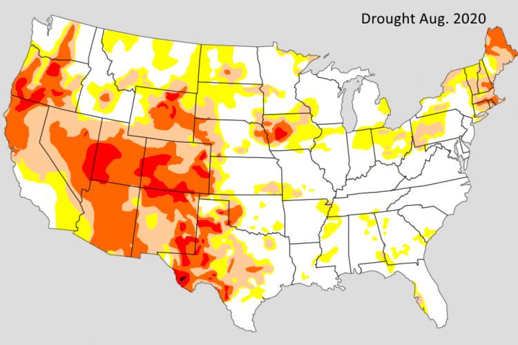 Drought 