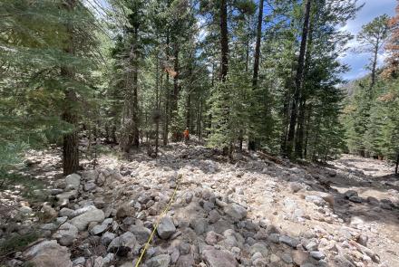 Fresh debris flow deposit associated with 2020 Museum Fire of northern Arizona