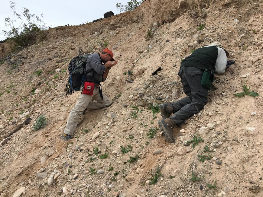 Brian Gootee and ASU undergraduate examining Colorado River preserved near the fault.