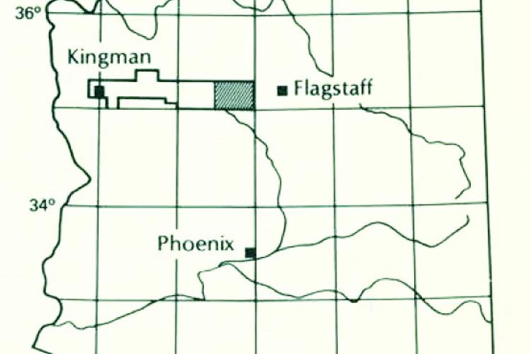 LANL Kingman to Bill Williams Geologic Strip Map